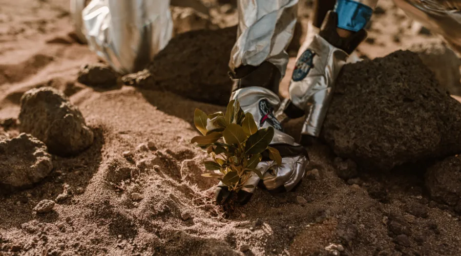 ethics of terraforming