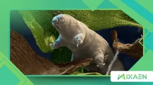 How the Study of Extremophiles Is Helping the Search for ET